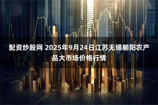 配资炒股网 2025年9月24日江苏无锡朝阳农产品大市场价格行情