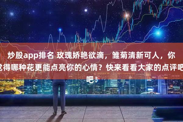 炒股app排名 玫瑰娇艳欲滴，雏菊清新可人，你觉得哪种花更能点亮你的心情？快来看看大家的点评吧！